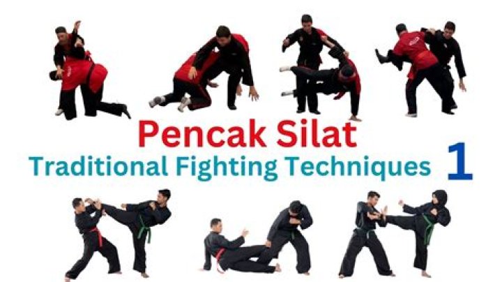 What is pencak silat martial arts?