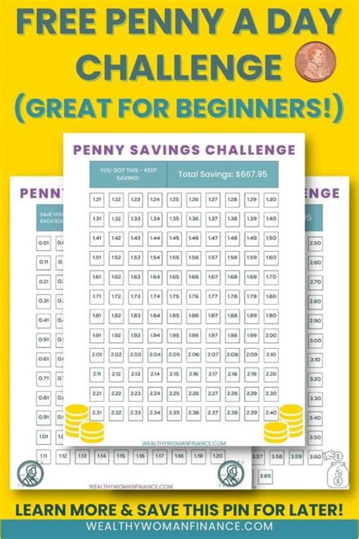 What is Penny Challenge?