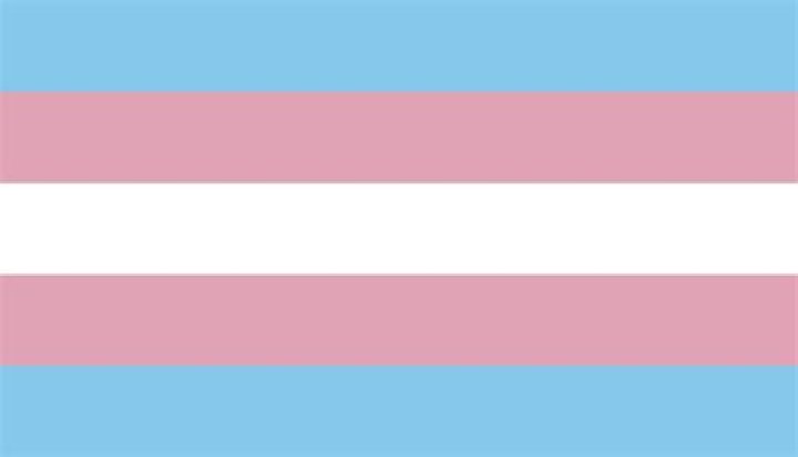 What is pink and blue flag?