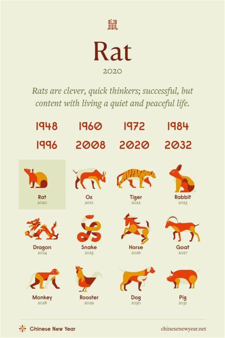 What is rat slang for?