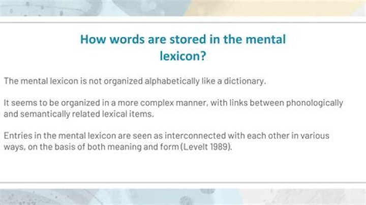 What is stored in the mental lexicon?