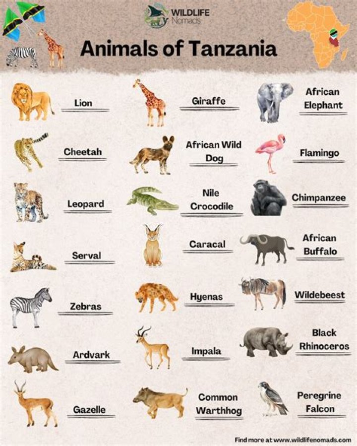 What is Tanzania rich?