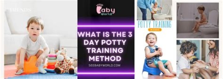 What is the 3 day potty training method?
