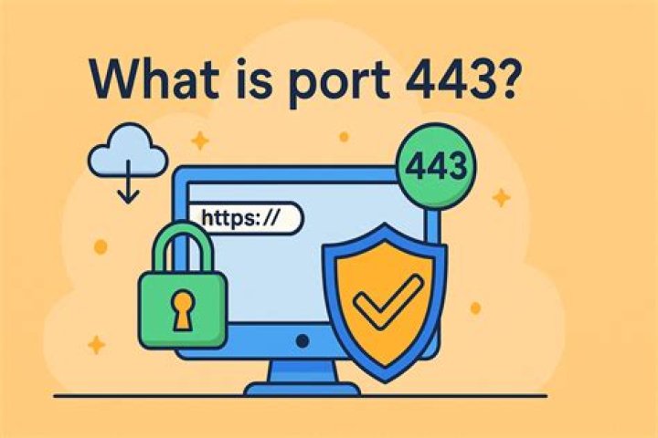 What is the 443 port?