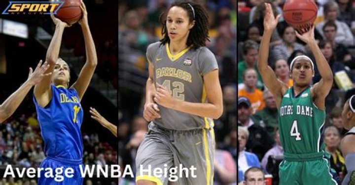 What is the average WNBA height?