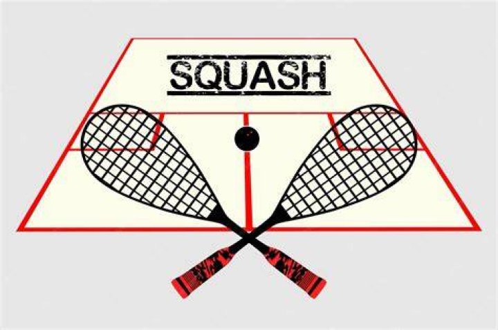 What is the ball on a squash racket?
