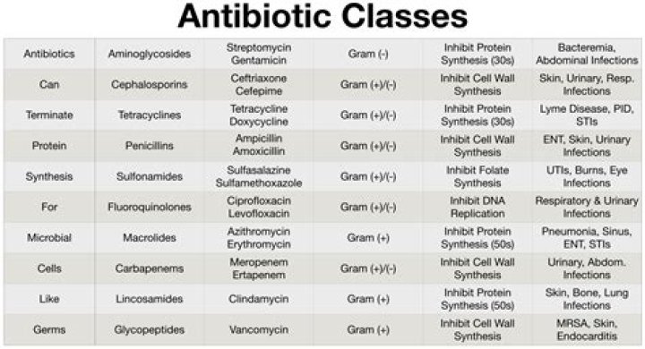 What is the best antibiotic for E. coli?