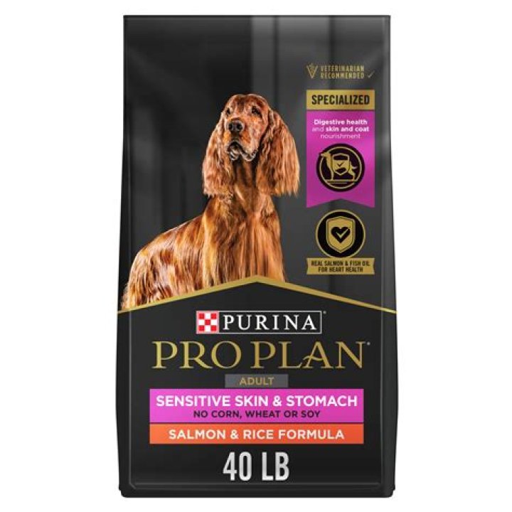 What is the best food for a dog with sensitive tummy?