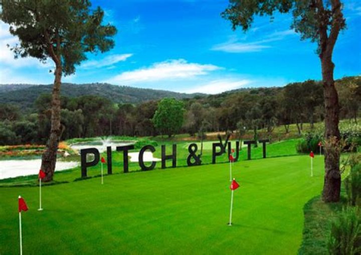 What is the best iron for Pitch and Putt?