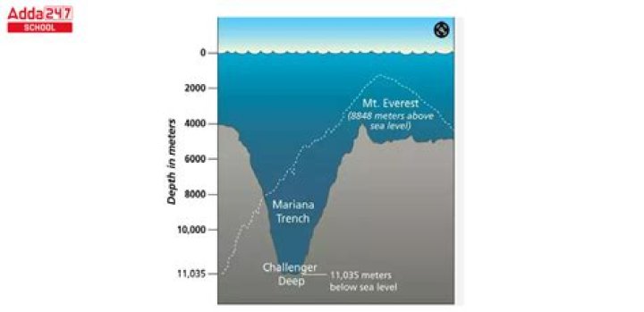 What is the deepest forest in the world?