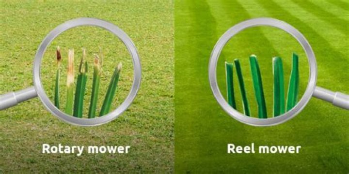 What is the difference between a reel mower and a rotary mower?