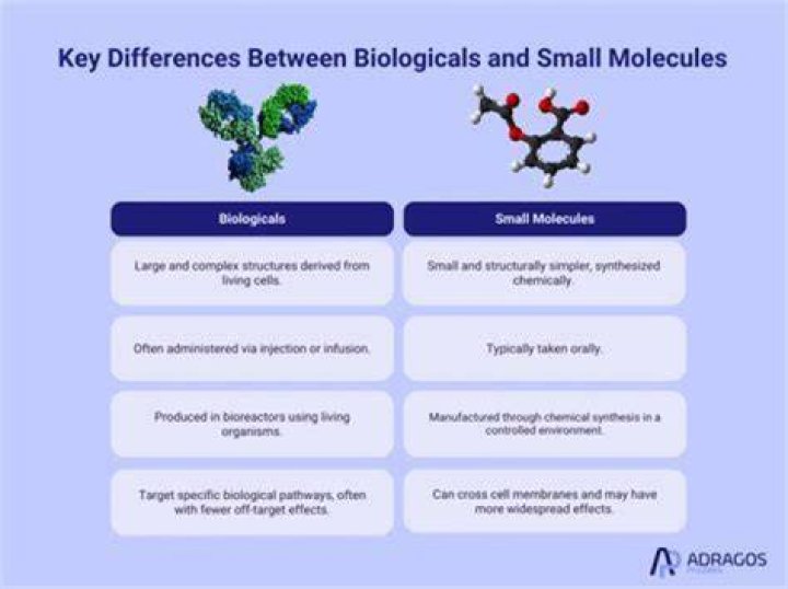 What is the difference between a small molecule and a biologic?