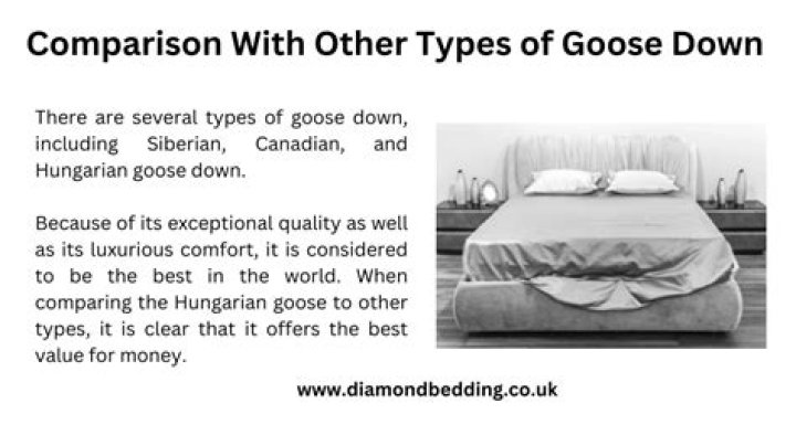 What is the difference between Hungarian goose down and goose down?