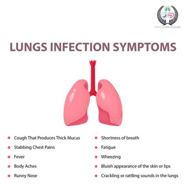 What is the fastest way to get rid of a chest infection?