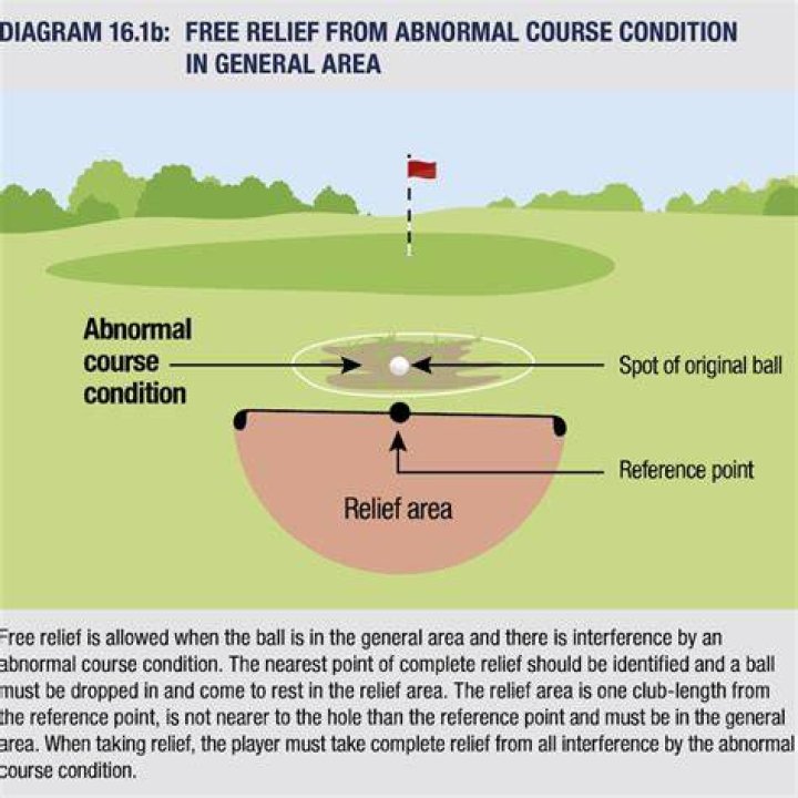 What is the Gur rule in golf?