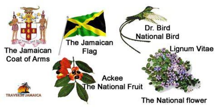 What is the Jamaican national flag?
