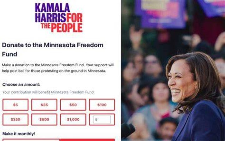 What is the Minnesota Freedom Fund being used for?