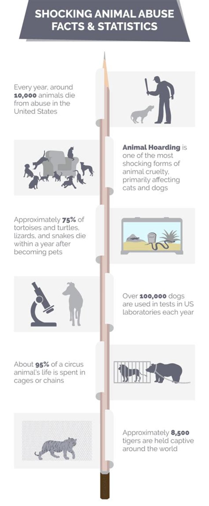 What is the most abused animal on the planet?