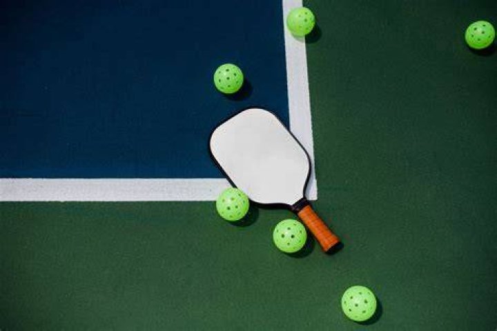 What is the most durable indoor pickleball?