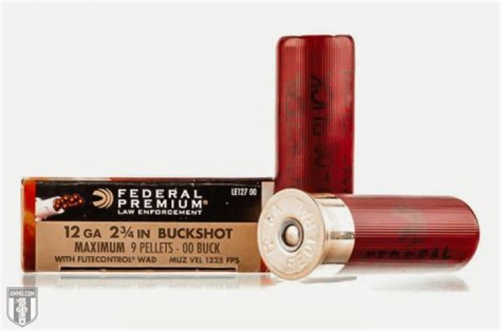 What is the most powerful shotgun slug?