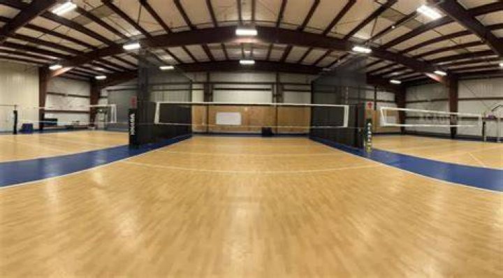 What is the official indoor volleyball?