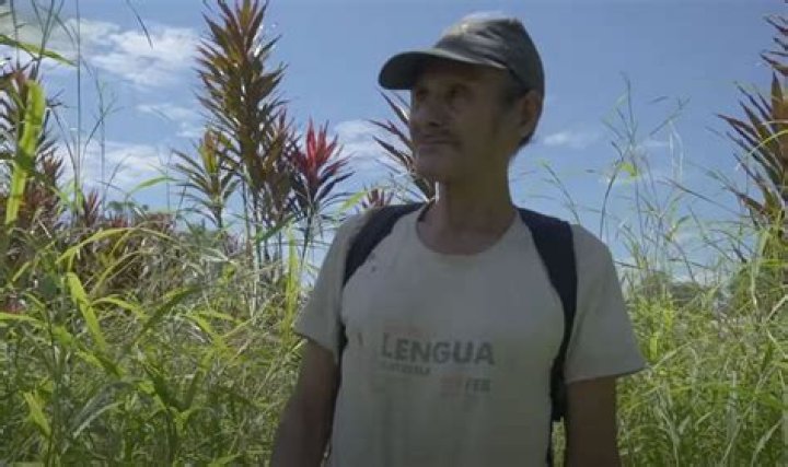 What is the rarest language?