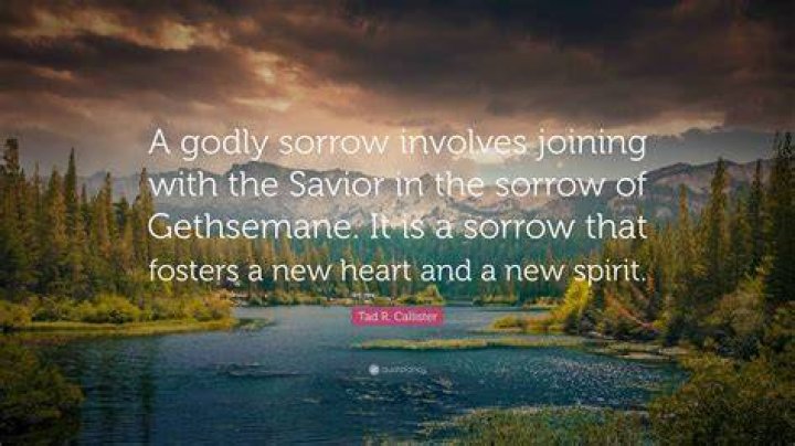 What is the result of godly sorrow?
