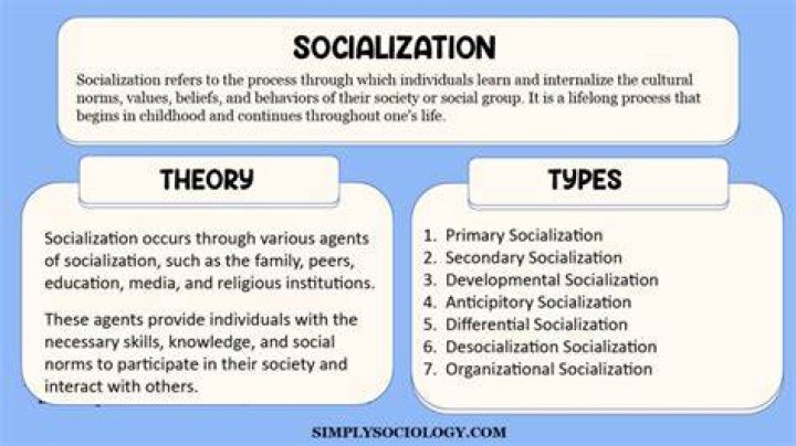 What is the role of culture in the socialization of an individual to become a useful member of society discuss what cultural patterns help to explain this phenomenon?