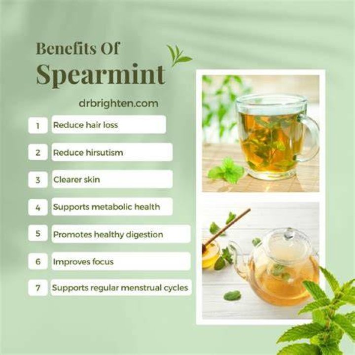 What is the tea with the most benefits?