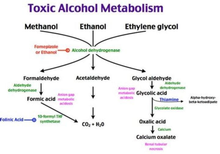 What is the toxicity of methanol?