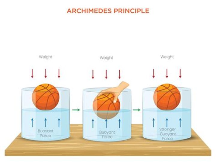 What is the wet principle?