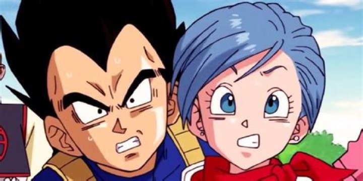 What is Vegeta wife name?