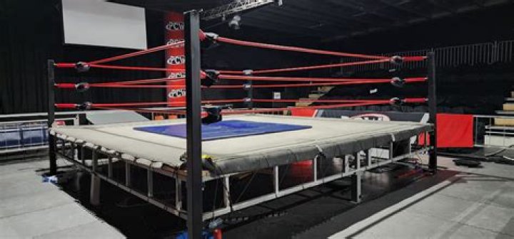 What is WWE ring made out of?
