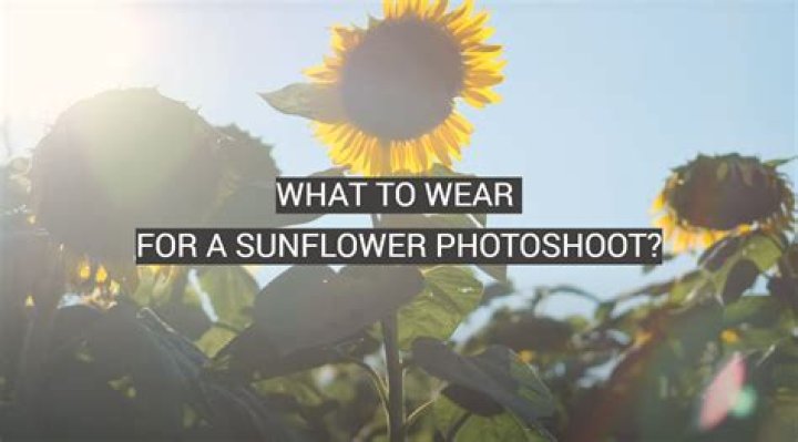 What lens should every photographer have?