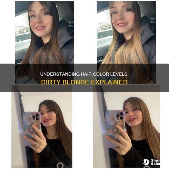 What level is dirty blonde hair?