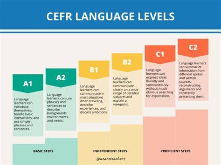 What level of language is fluent?