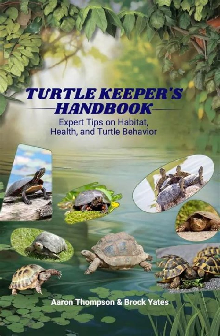 What makes a turtle happy?