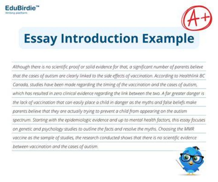 What makes an essay an essay?