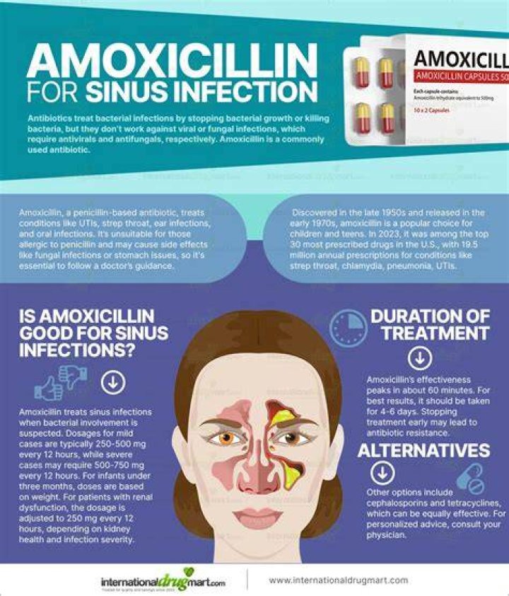 What medications should not be taken with amoxicillin?