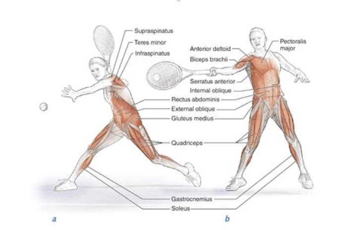 What muscles do tennis use?