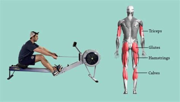 What muscles do you use wake surfing?