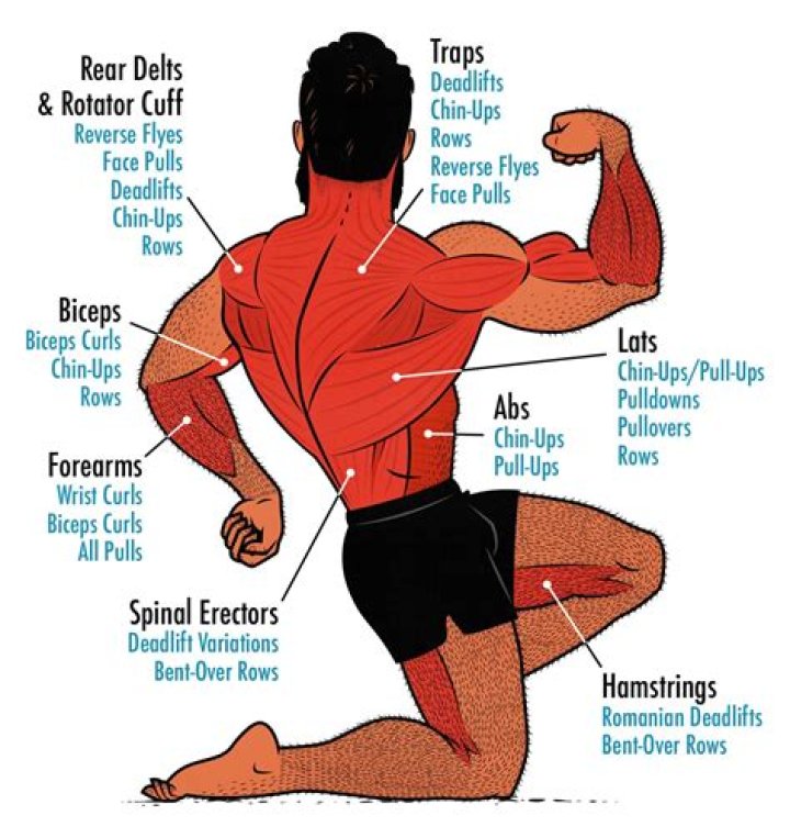 What muscles should pitchers workout?