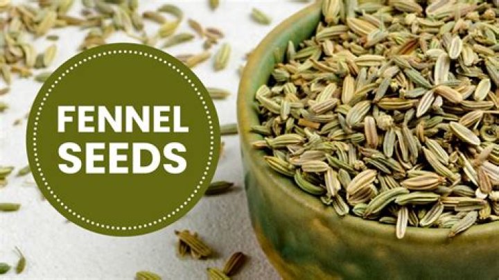 What part of fennel do you use for tea?