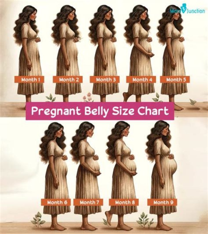 What part of your belly gets big when pregnant?