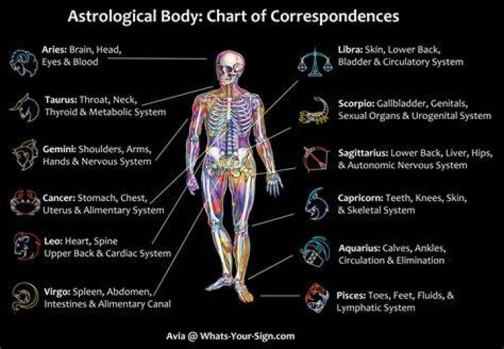What parts of the body does spinning tone?