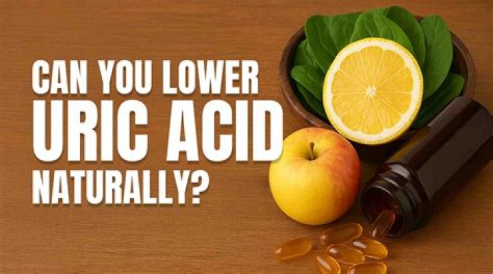 What removes uric acid from the body?