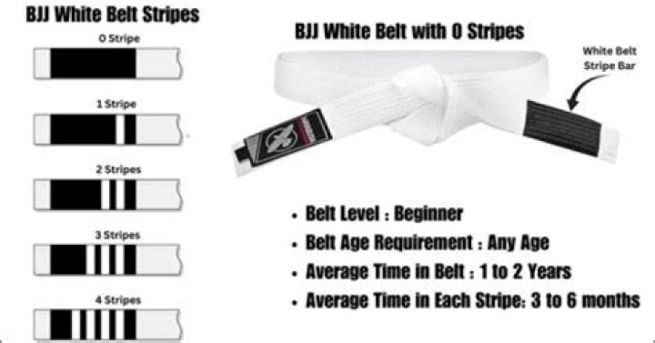 What should a white belt focus on in BJJ?