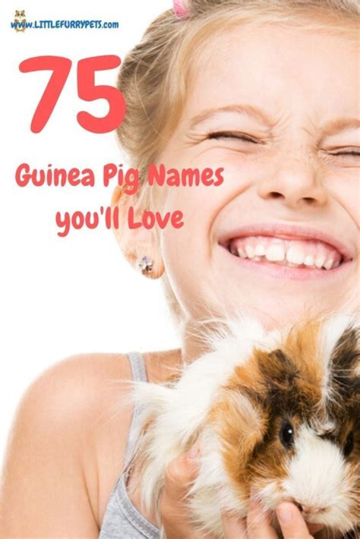 What should I name my guinea pig?