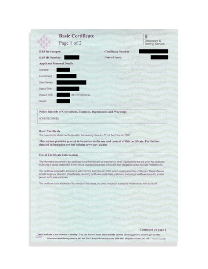 What shows up on a DBS check?