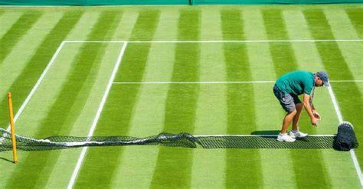 What surface is Wimbledon played on?